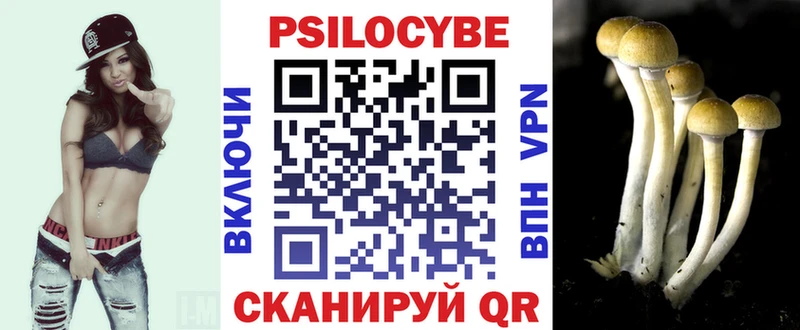 Галлюциногенные грибы Psilocybine cubensis Венёв